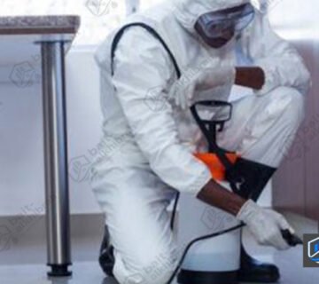 شركة مكافحة حشرات بالنبهانية